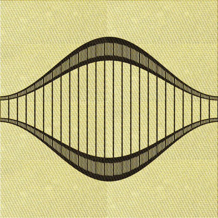 Round Machine Washable Transitional Sun Yellow Rug, wshpat3654yw