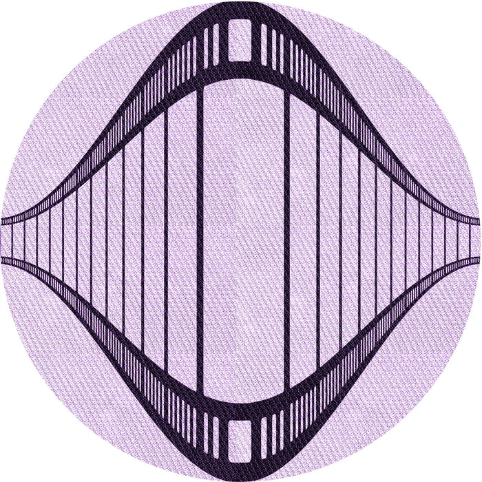 Square Machine Washable Transitional Purple Flower Purple Rug in a Living Room, wshpat3655pur