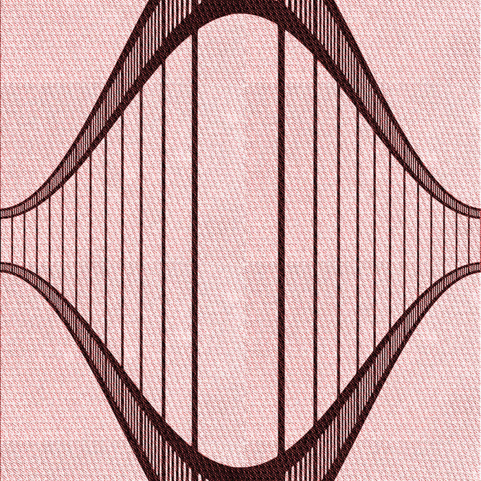 Machine Washable Transitional Indian Red Rug, wshpat3655rd