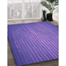 Machine Washable Transitional Amethyst Purple Rug in a Family Room, wshpat366pur