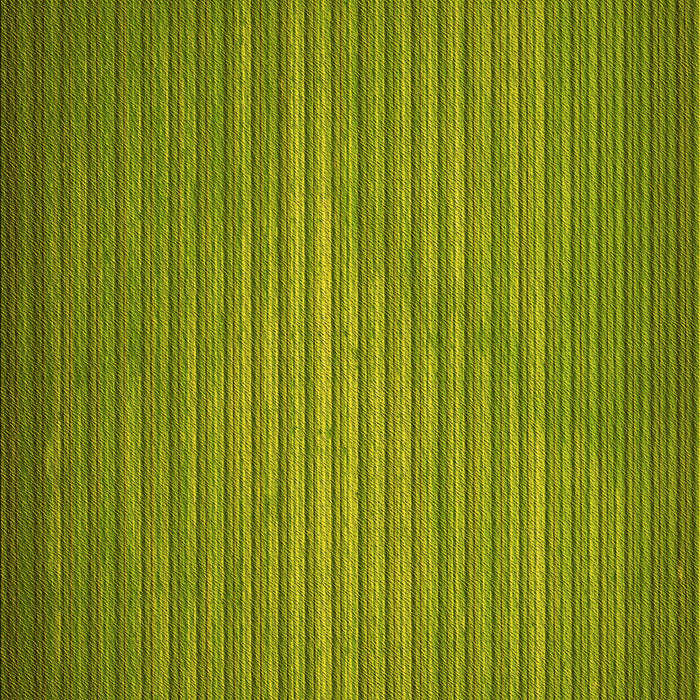 Machine Washable Transitional Pistachio Green Rug, wshpat366yw