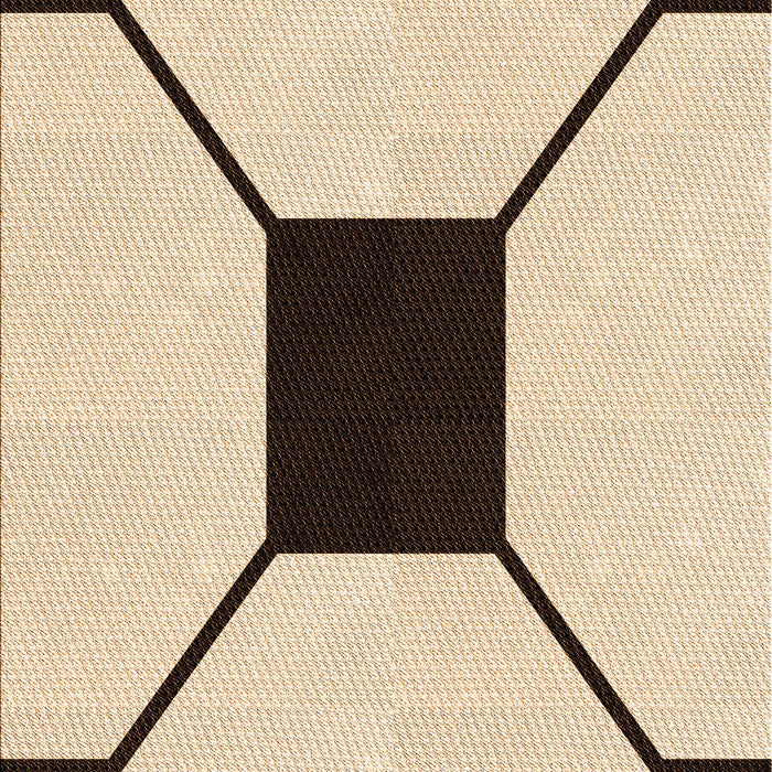 Machine Washable Transitional Light Brown Rug, wshpat3661org