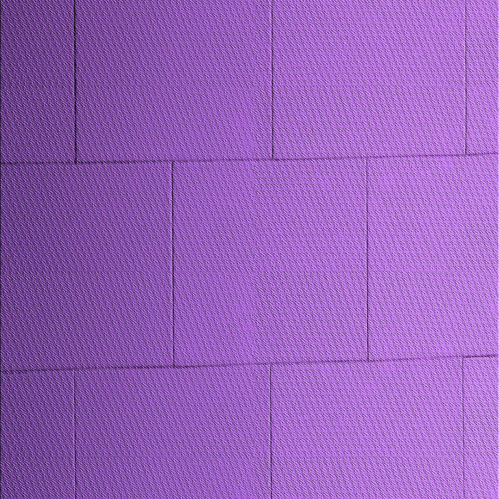 Machine Washable Transitional Purple Rug, wshpat3665pur