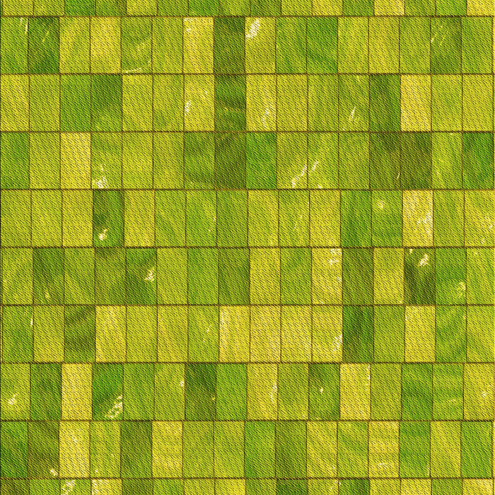 Patterned Neon Yellow Green Rug, pat3668yw