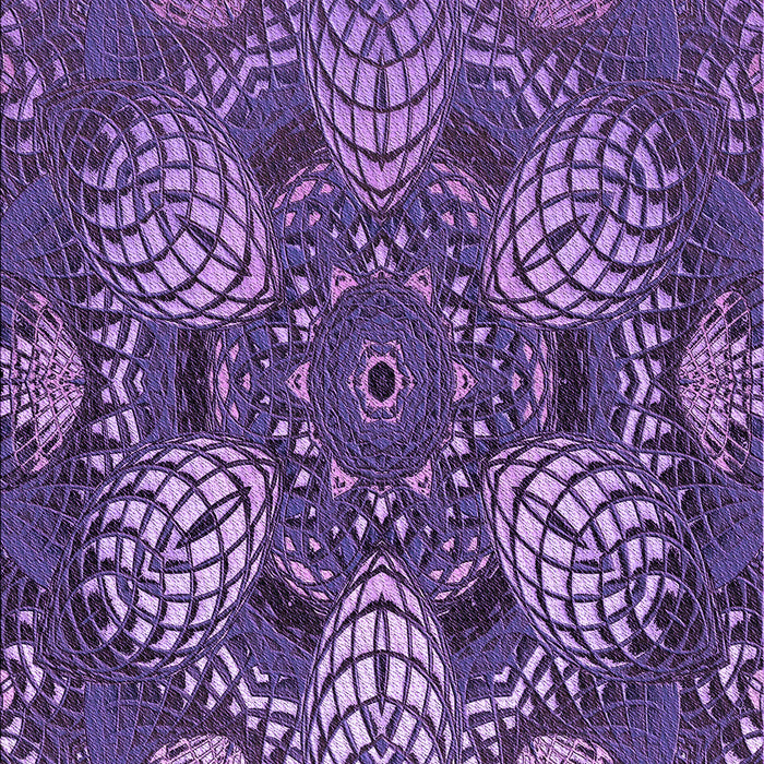 Machine Washable Transitional Purple Rug, wshpat3679pur