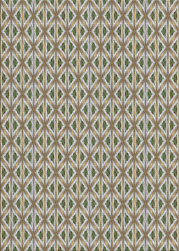 Machine Washable Transitional Brown Rug, wshpat367