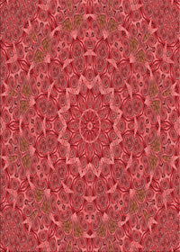 Machine Washable Transitional Red Rug, wshpat3682rd