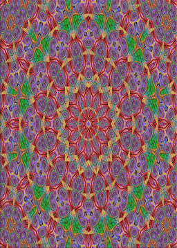 Machine Washable Transitional Dark Raspberry Purple Rug, wshpat3682