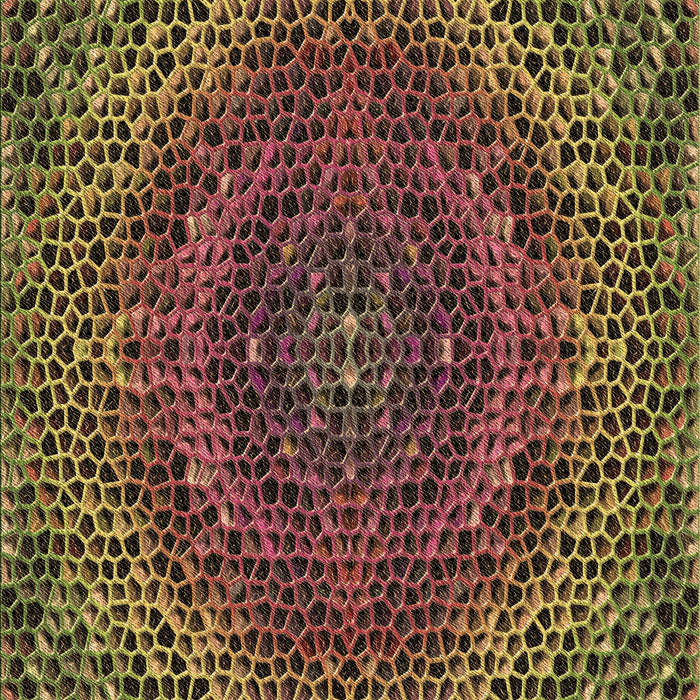 Patterned Bakers Brown Rug, pat3686brn