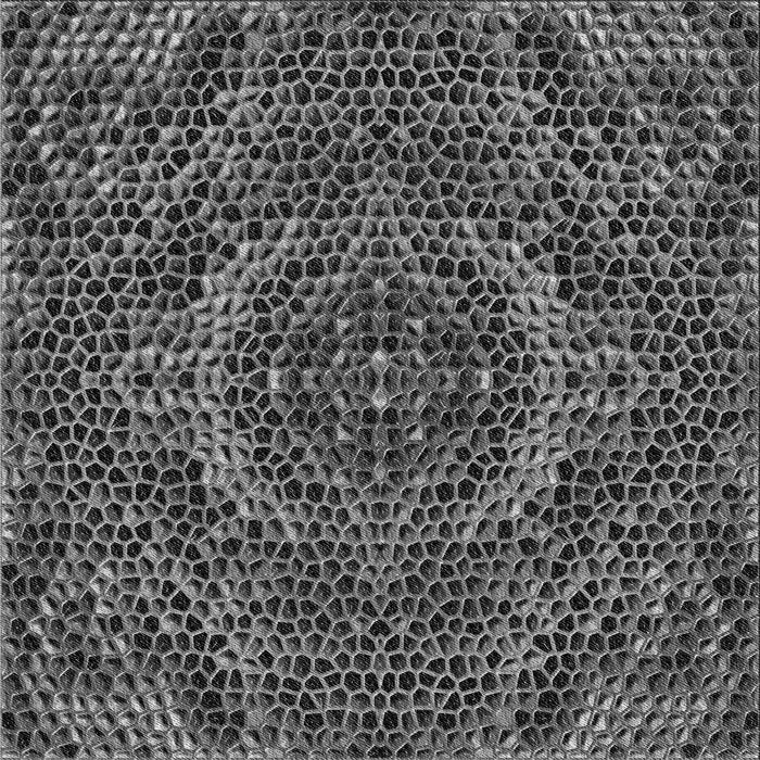 Round Machine Washable Transitional Charcoal Black Rug, wshpat3686gry