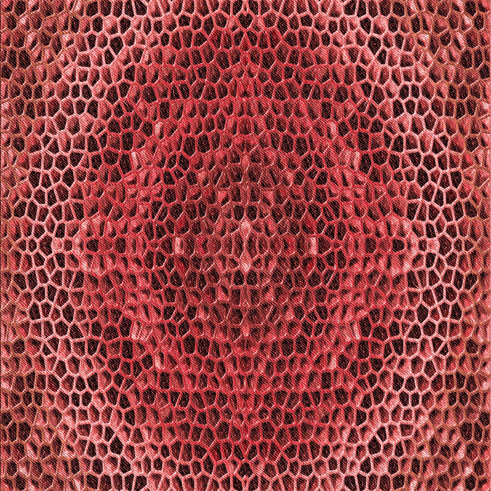 Patterned Cranberry Red Rug, pat3686rd