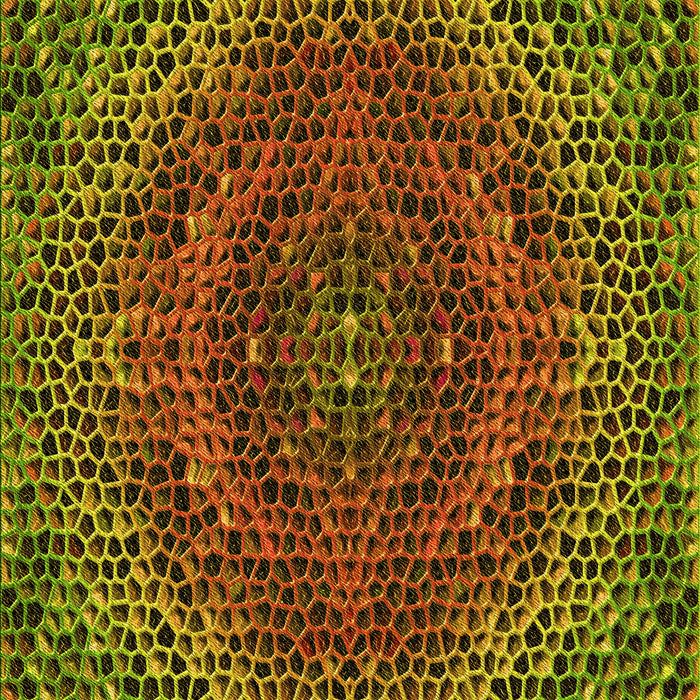 Patterned Red Rug, pat3686yw