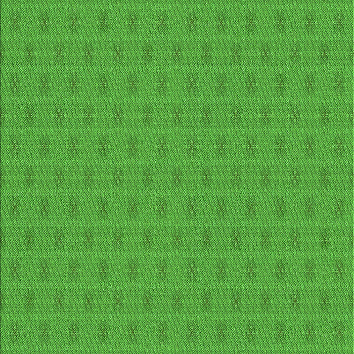 Machine Washable Transitional Lime Green Rug, wshpat369grn