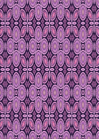 Machine Washable Transitional Purple Rug, wshpat3691pur