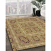 Patterned Sienna Brown Rug in Family Room, pat3694brn