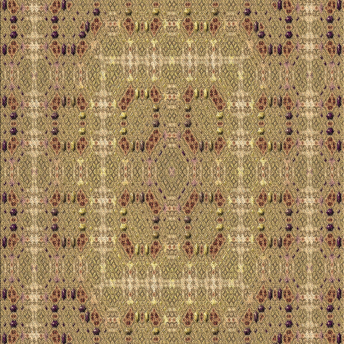 Machine Washable Transitional Sienna Brown Rug, wshpat3694brn