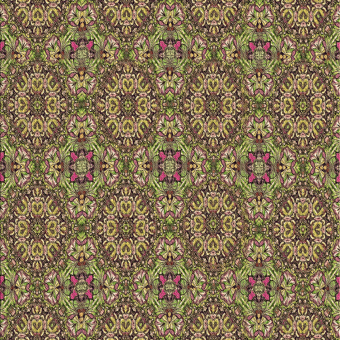 Machine Washable Transitional Red Brown Rug, wshpat3695brn