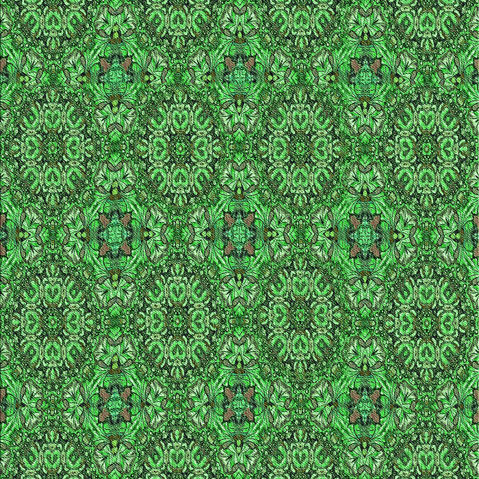 Machine Washable Transitional Deep Emerald Green Rug, wshpat3695grn