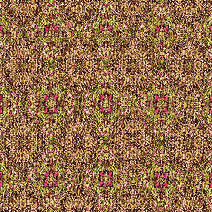 Patterned Saffron Red Rug, pat3695org