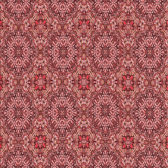 Machine Washable Transitional Red Rug, wshpat3695rd