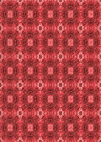 Machine Washable Transitional Red Rug, wshpat3696rd