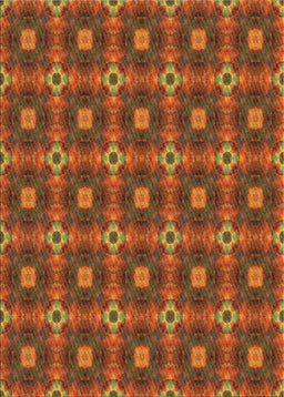 Machine Washable Transitional Tomato Red Rug, wshpat3696