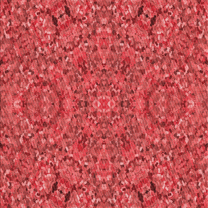 Machine Washable Transitional Red Rug, wshpat3698rd