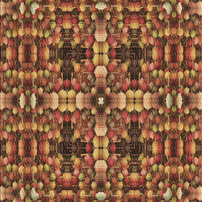 Machine Washable Transitional Orange Rug, wshpat3699brn