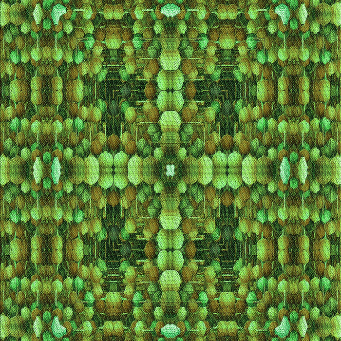 Machine Washable Transitional Army Green Rug, wshpat3699grn