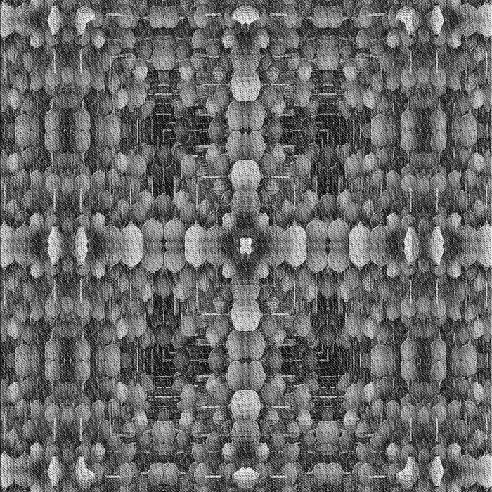 Machine Washable Transitional Black Rug, wshpat3699gry