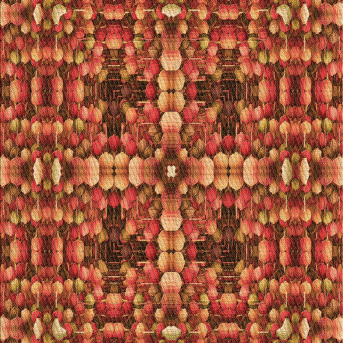 Machine Washable Transitional Orange Rug, wshpat3699org