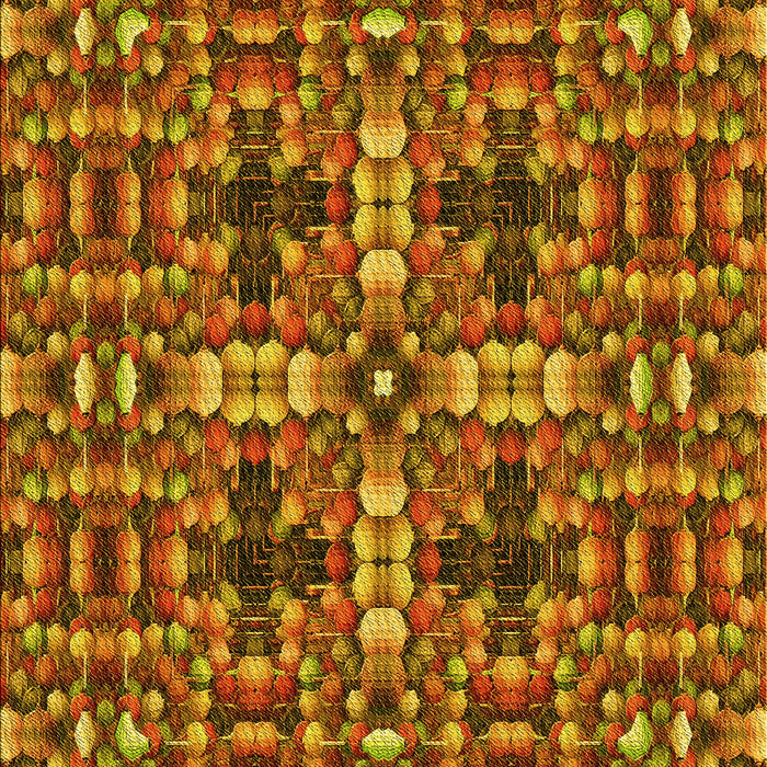 Machine Washable Transitional Tomato Red Rug, wshpat3699yw