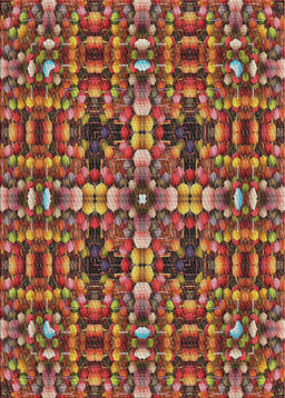 Machine Washable Transitional Saffron Red Rug, wshpat3699