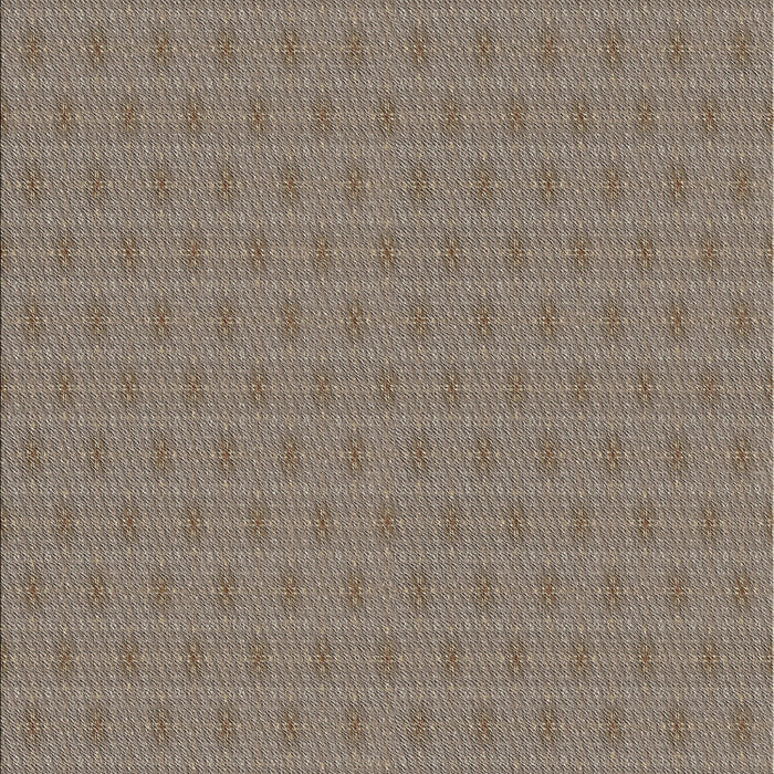 Patterned Light French Beige Brown Novelty Rug, pat369