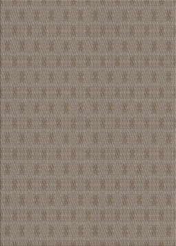 Machine Washable Transitional Light French Beige Brown Rug, wshpat369