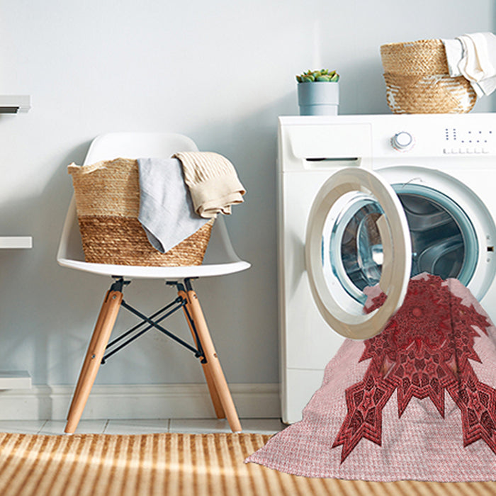 Machine Washable Transitional Red Rug in a Washing Machine, wshpat3701rd