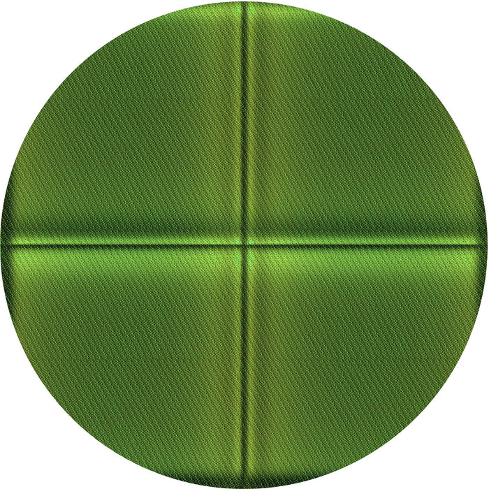 Square Machine Washable Transitional Dark Lime Green Rug in a Living Room, wshpat3704grn