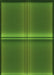 Patterned Dark Lime Green Rug, pat3704grn