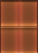 Patterned Orange Red Orange Rug, pat3704org