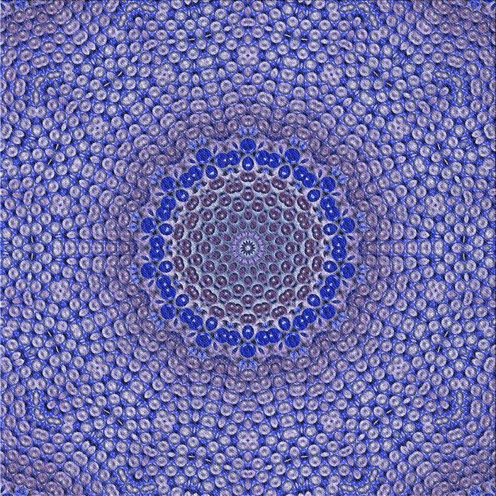 Round Machine Washable Transitional Purple Mimosa Purple Rug, wshpat3706blu