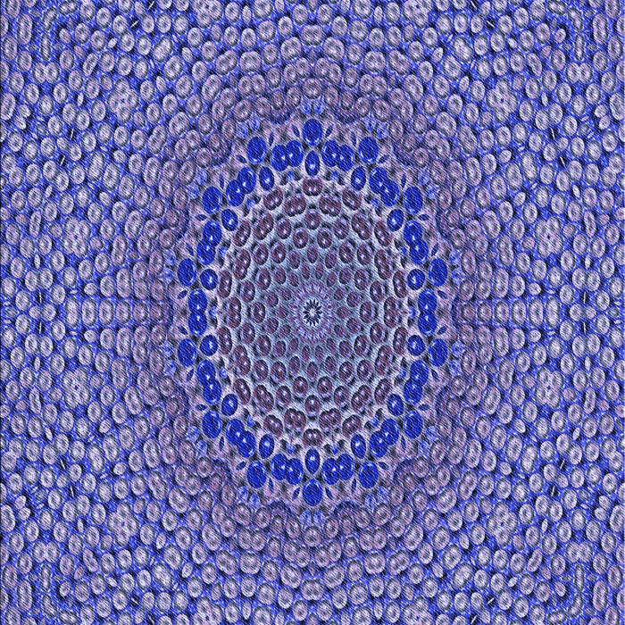 Machine Washable Transitional Purple Mimosa Purple Rug, wshpat3706blu