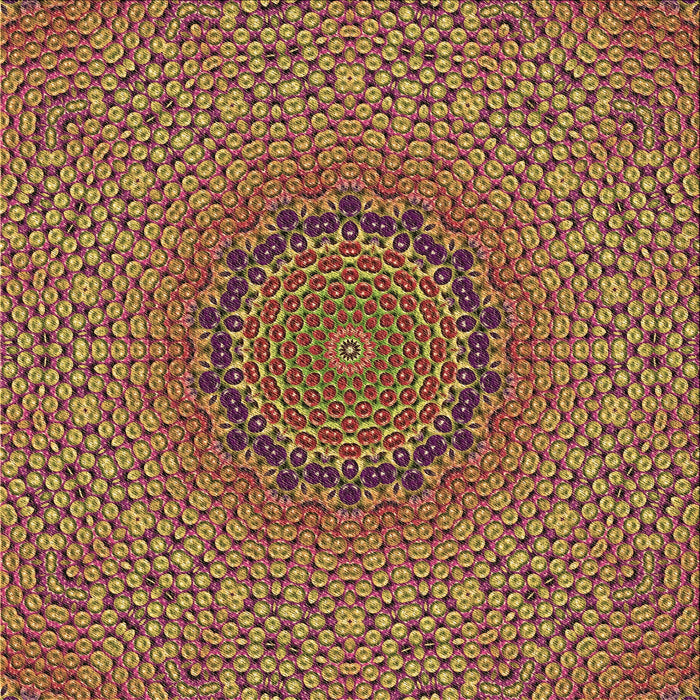 Round Machine Washable Transitional Brown Red Rug, wshpat3706brn