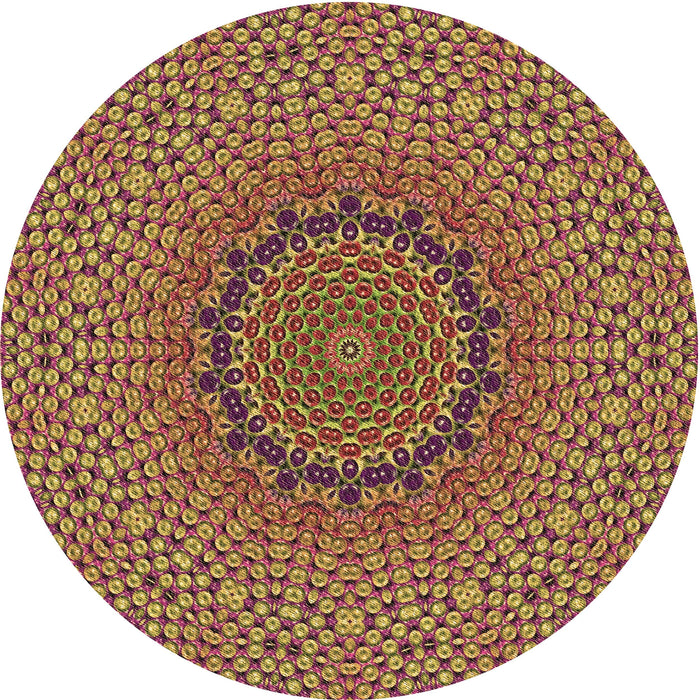 Square Machine Washable Transitional Brown Red Rug in a Living Room, wshpat3706brn