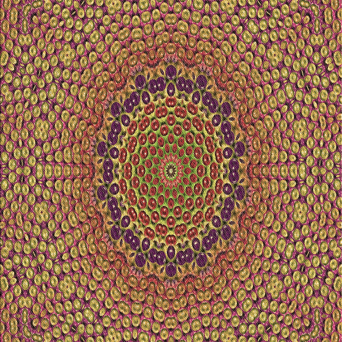 Machine Washable Transitional Brown Red Rug, wshpat3706brn