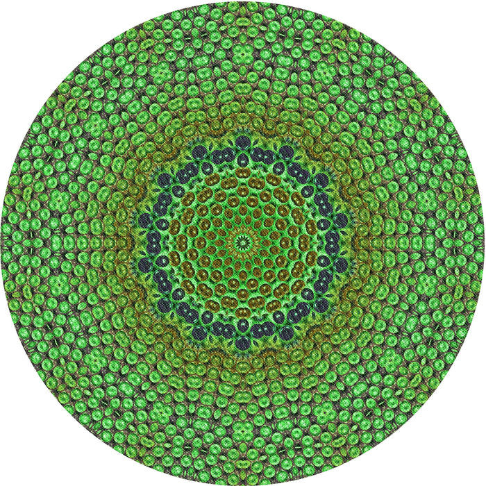 Square Machine Washable Transitional Green Rug in a Living Room, wshpat3706grn