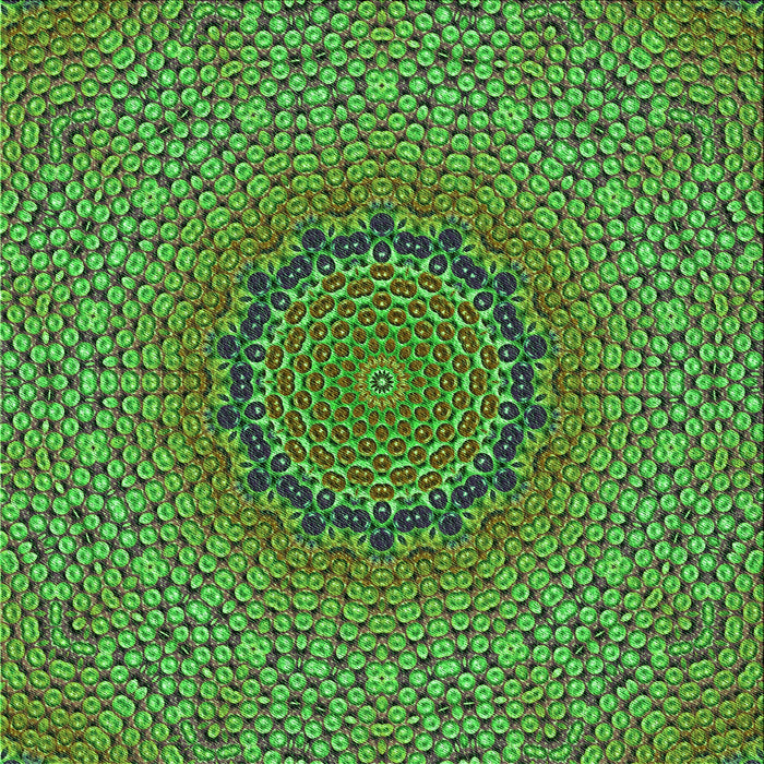 Round Machine Washable Transitional Green Rug, wshpat3706grn