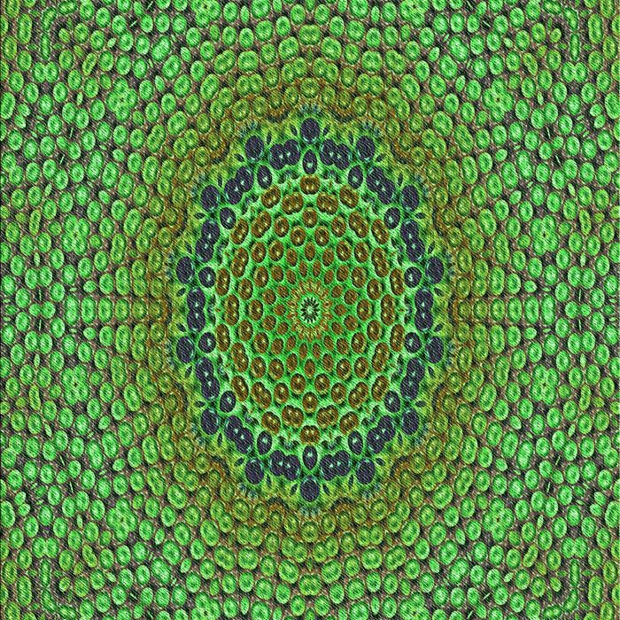 Machine Washable Transitional Green Rug, wshpat3706grn