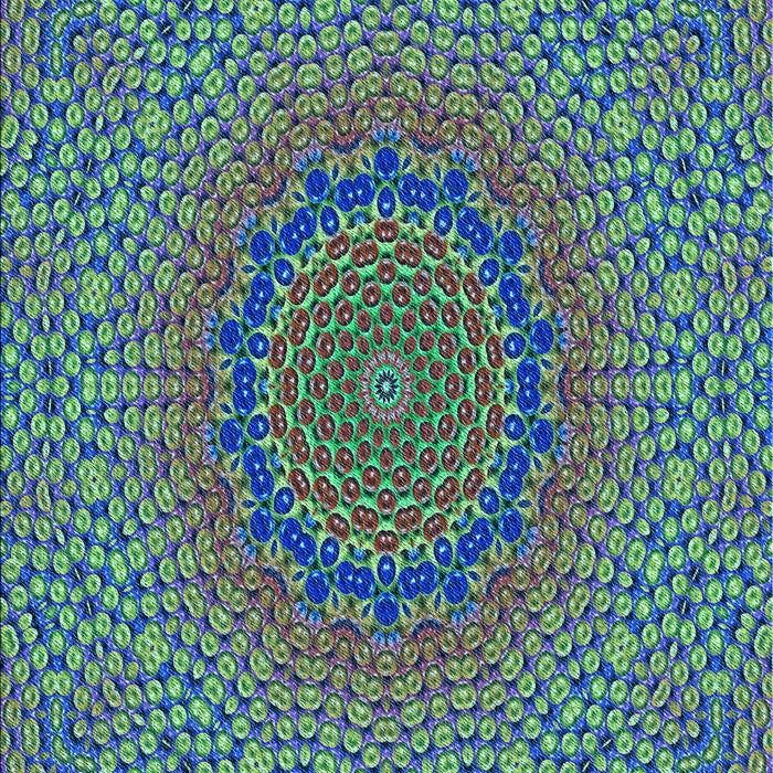 Machine Washable Transitional Dark Slate Blue Purple Rug, wshpat3706lblu