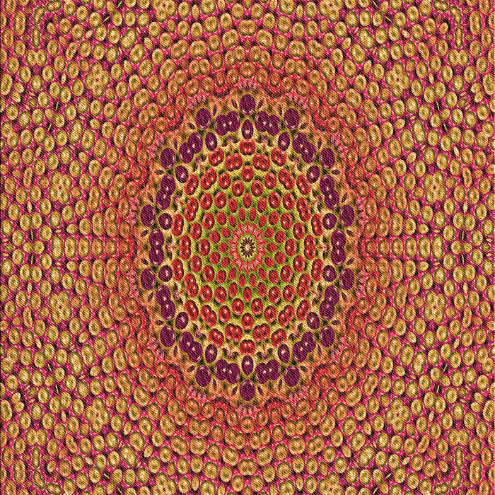 Machine Washable Transitional Orange Rug, wshpat3706org