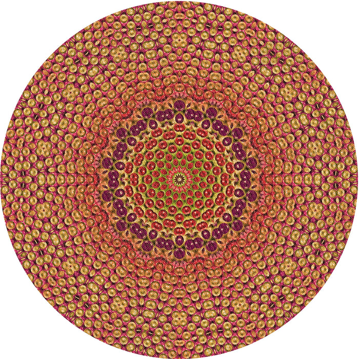 Square Machine Washable Transitional Orange Rug in a Living Room, wshpat3706org